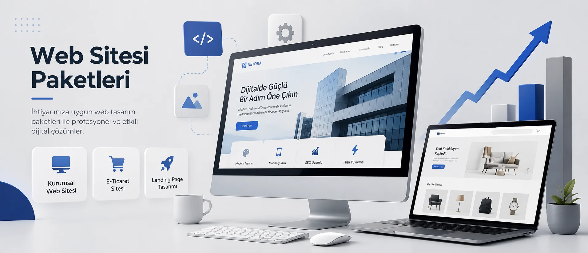 web sitesi paketlerini açıklayan görsel